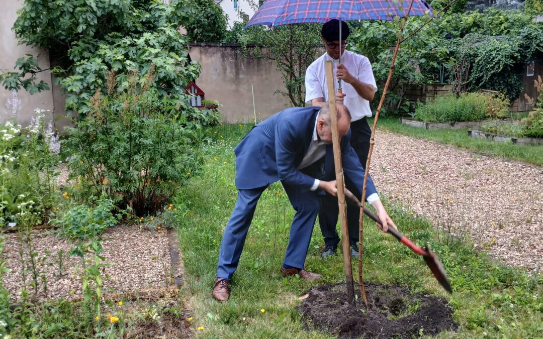 Retour sur la plantation du cinquième arbre pour la paix